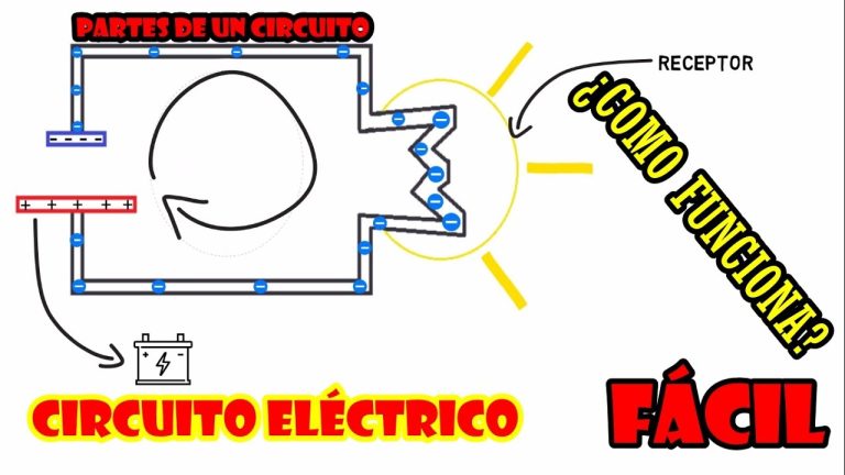 Que funcion cumple un circuito electrico